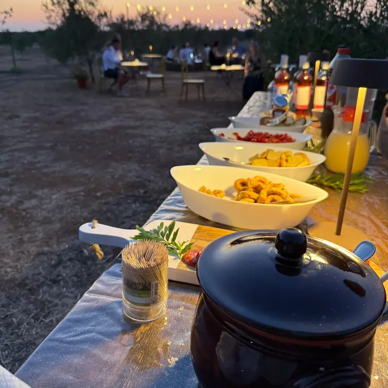 Il buffet della degustazione tra gli ulivi: taralli, pomodori, pane e prodotti tipici del Salento