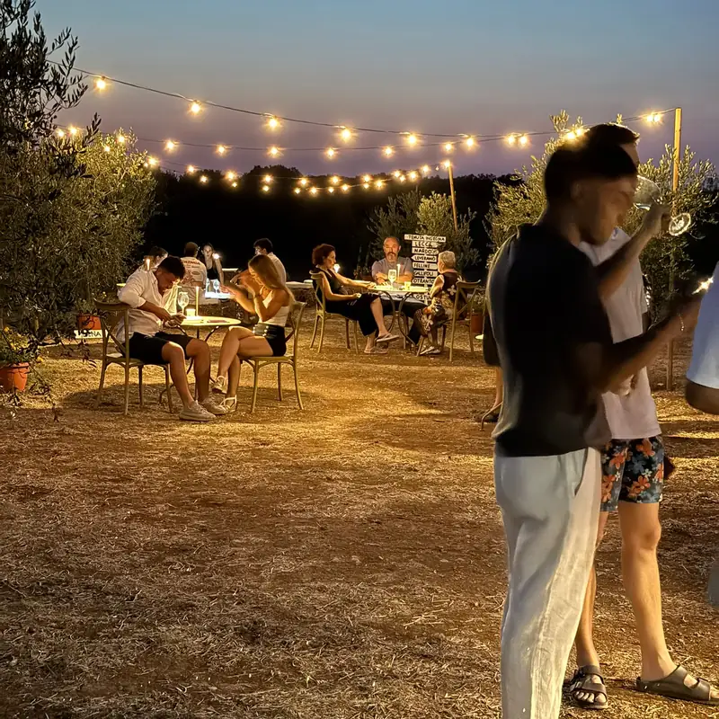 Ospiti con il calice in mano durante la degustazione al tramonto tra gli ulivi