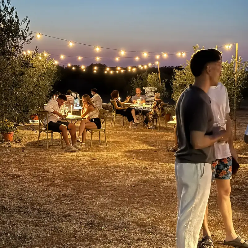 Ospiti ai tavoli tra gli ulivi al calar del sole, sotto le luci della serata