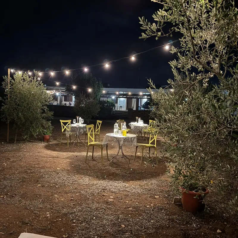 La serata di degustazione tra gli ulivi, sotto le luci, alla Tenuta Ingegna di Porto Cesareo