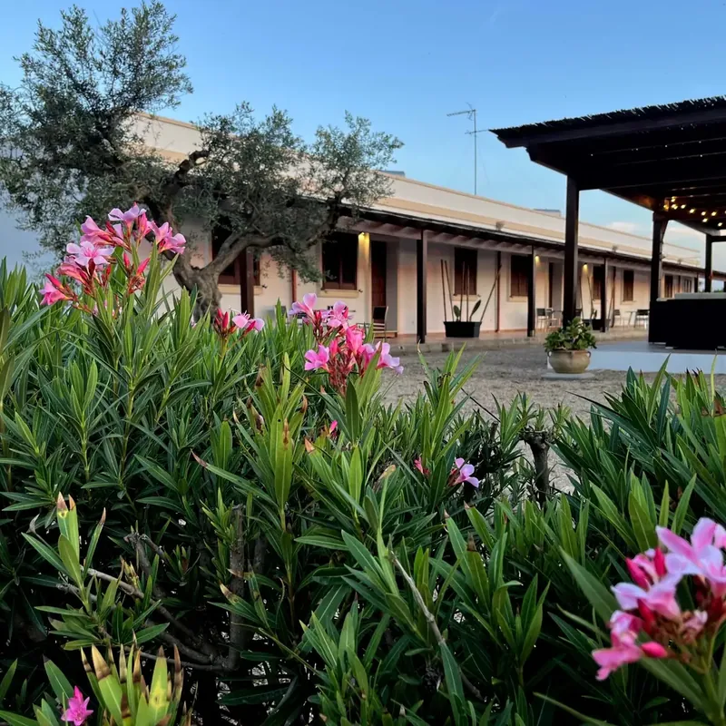 Il casale della Tenuta Ingegna con gli oleandri in fiore